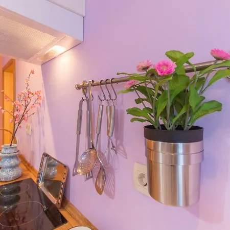 Moonshine With Magnificent View